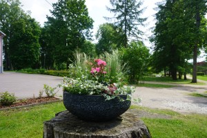 DSC05809