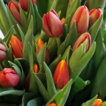 Naistepäeva tähistamine